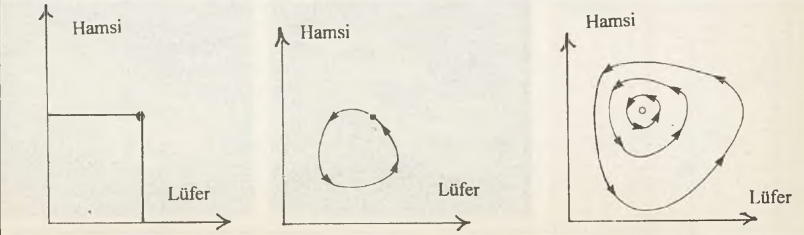 Şekil 3. Lüfer-hamsi popülasyon faz uzayı.