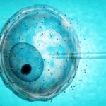 2017'de Genetik'te neler oldu?