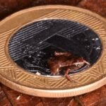 2024’ün Bilimsel Rekorları