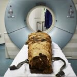 3000 yıllık mumya dile geldi