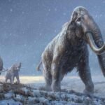 Bir milyon yıldan daha eski olan mamut genomu, antik DNA rekorunu kırdı!

