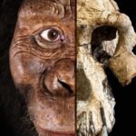 Bu yüz tam 3,8 milyon yaşında