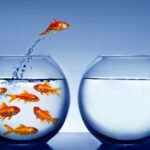 Canımızla öğrenmek