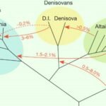 Çin’de bulunan antik kafatası  daha önce görülen hiçbir insana benzemiyor