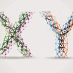 Cinsiyet ayrımının evrimi