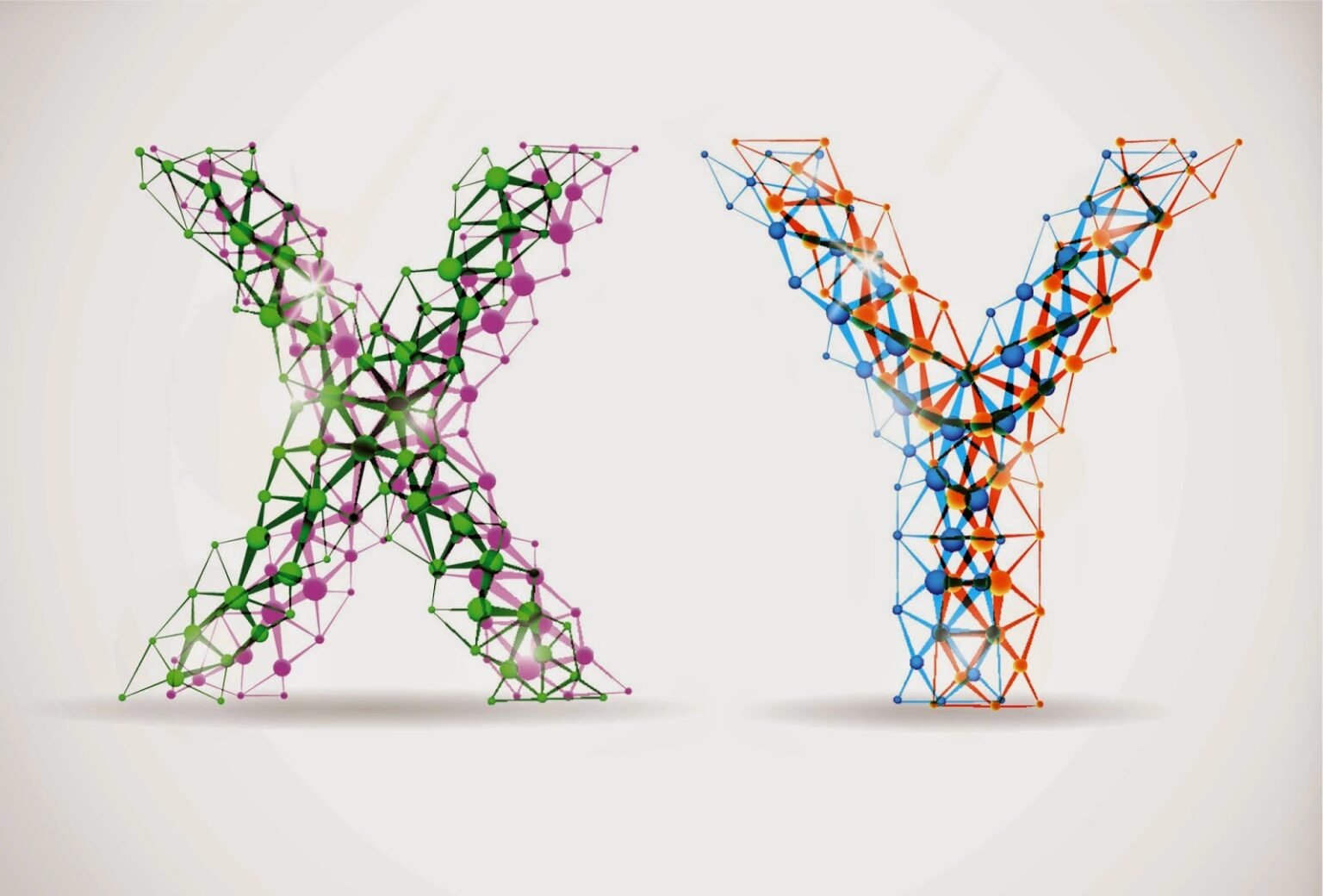 Cinsiyet ayrımının evrimi