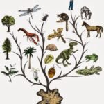 Çocuklar için evrim-1: Dünyamızın oluşumu ve evrim sürecinin başlaması