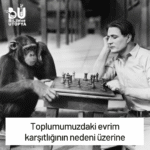 Evrimin evrim dışı kanıtları

