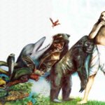 Evrimin sesi olacağız!