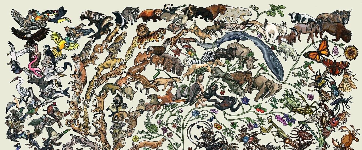 Eyvah! Evrim teorisi sadece bir teoriymiş!