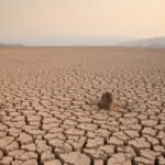 Güncel yokolma koşulları