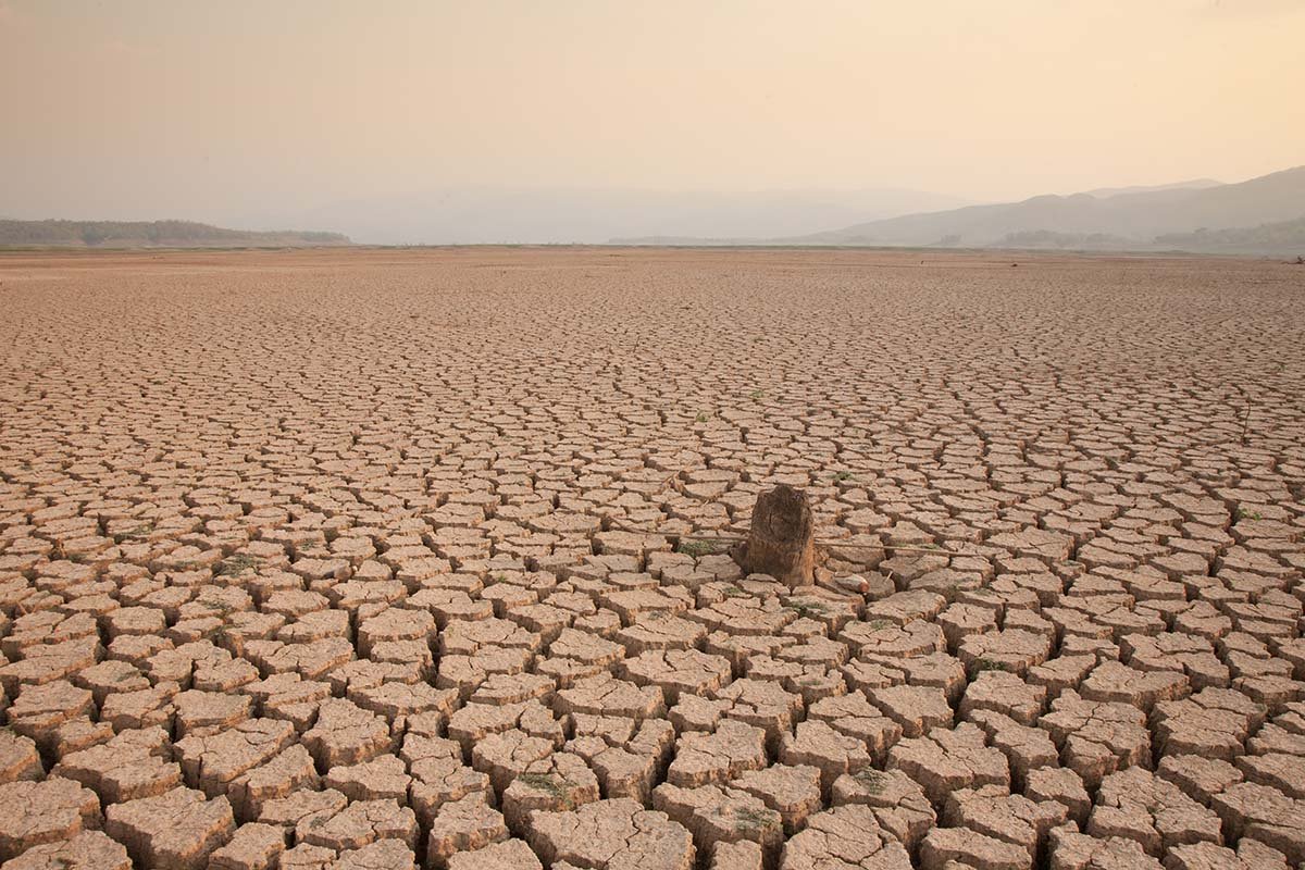 Güncel yokolma koşulları