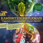 Hacettepe'de "Kambriyen Patlaması" kongresi düzenleniyor
