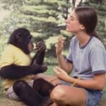 İnsan iletişiminin kökenleri