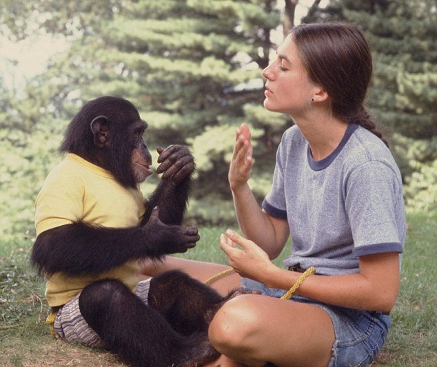 İnsan iletişiminin kökenleri