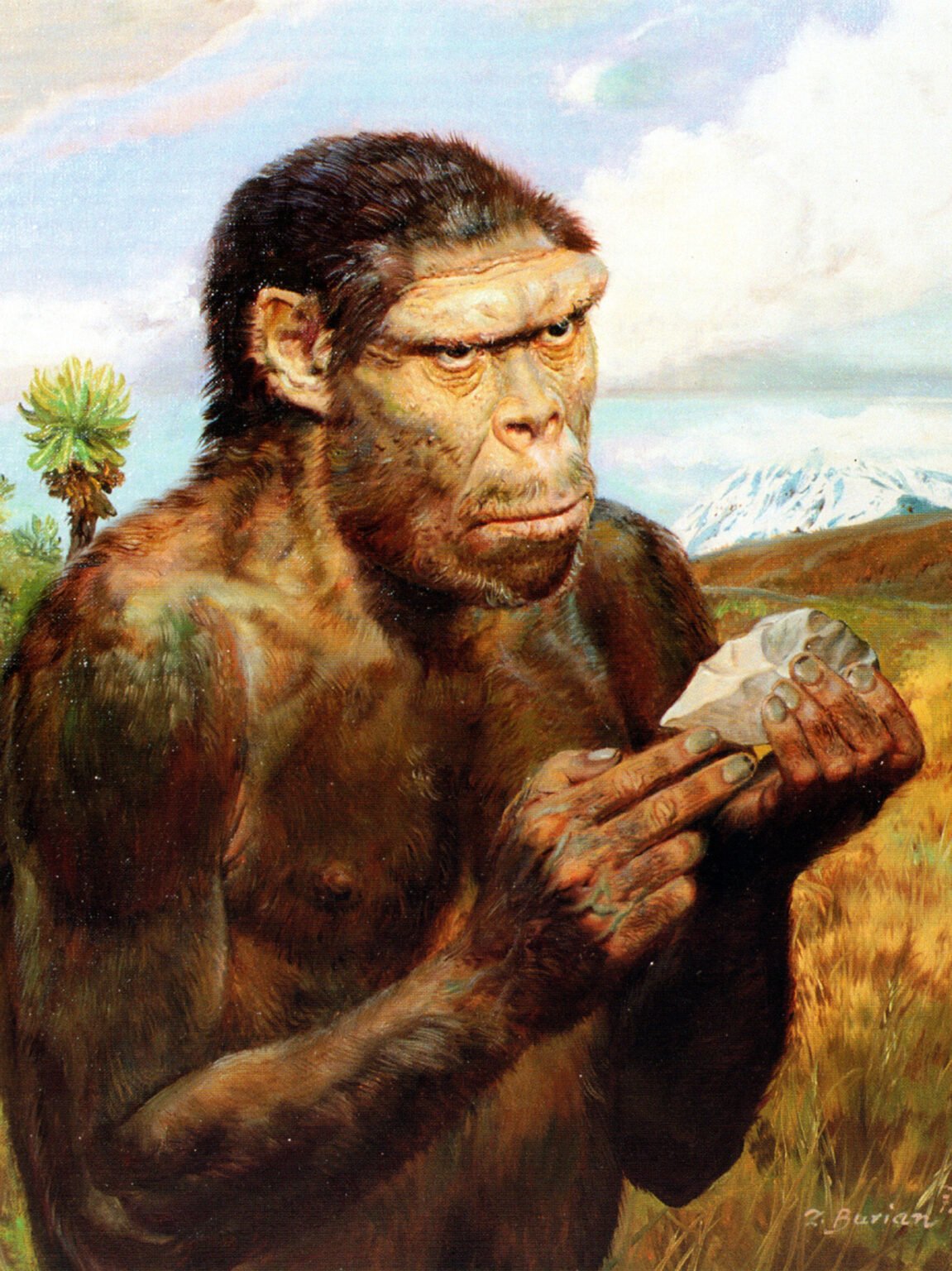 İnsanın evrimine yolculuk