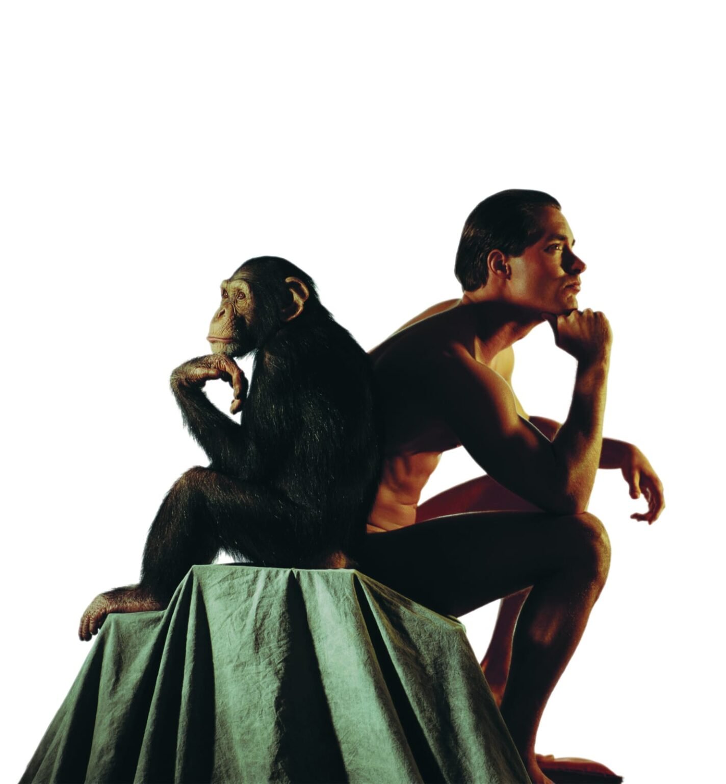 Kusursuz yaratılış yanılgısı: Akılsız tasarım