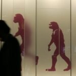 Maymundan insana geçişte emeğin rolü