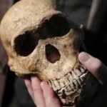 Modern insanın 300 bin yıllık ataları