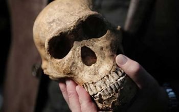 Modern insanın 300 bin yıllık ataları