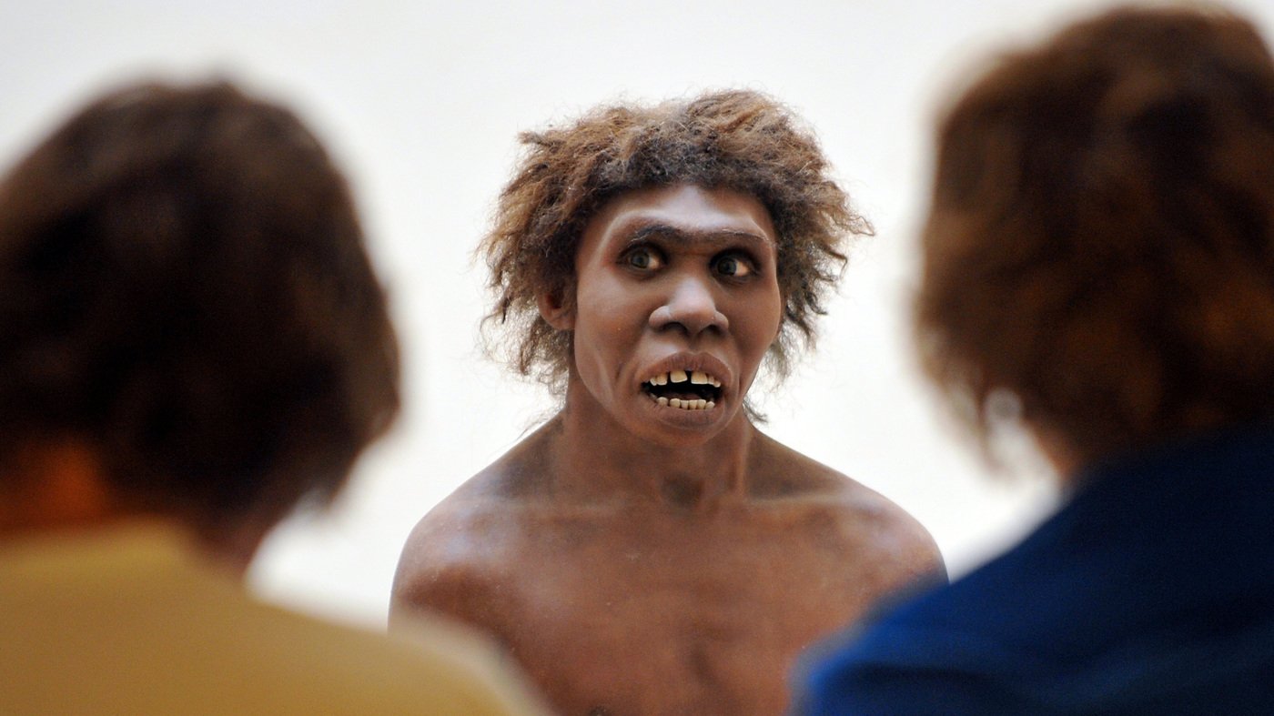 Neandertal diş oluklarının analizi, tarih öncesi diş hekimliğinin izlerini taşıyor