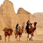 Peygamber'in karıları ve cariyeleri