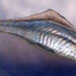 Primatlar mı dediniz, peki ya öncesi?