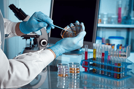 Savaşın Mikrobik Tarihi – III