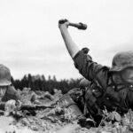 Savaş ve bilim üstüne