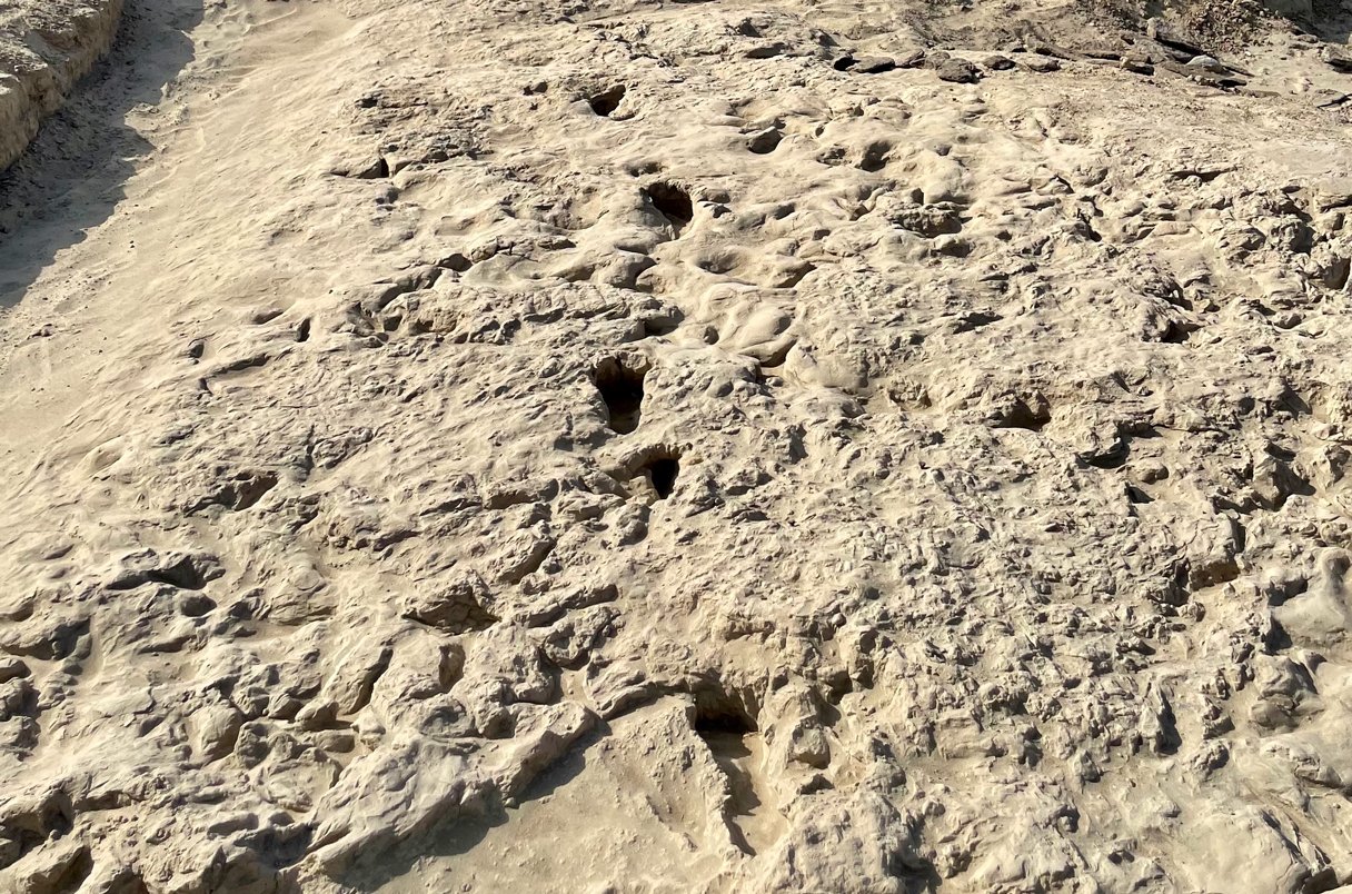 Tarih öncesi ayak izleri türümüzün iki farklı atasının bir arada yaşadığını gösteriyor