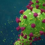 Türkiye’nin ilk SARS-CoV-2 genomu ile ilgili ön çalışma