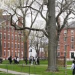 Üniversiteyi ortadan kaldırmanın vakti geldi