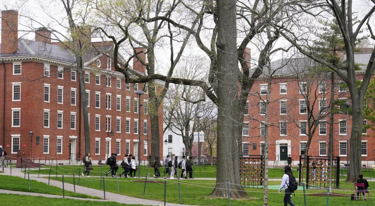 Üniversiteyi ortadan kaldırmanın vakti geldi