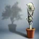 Kapitalizm eleştirisi olarak çevre ve eşitsizliğin politik ekonomisi