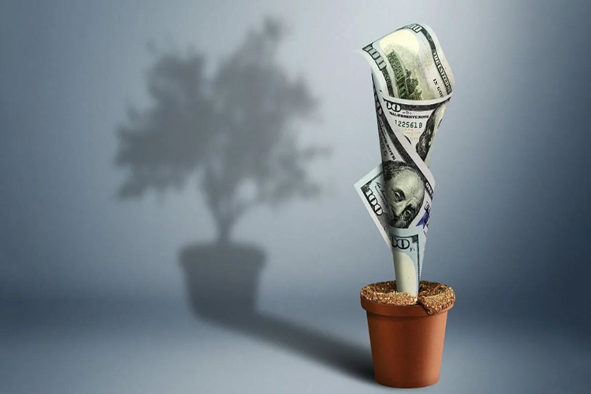 Kapitalizm eleştirisi olarak çevre ve eşitsizliğin politik ekonomisi