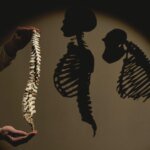 Sorular ve yanıtlarla evrimi temel düzeyde anlamak