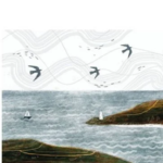 Şişedeki Gemi’ye sosyolojik bir bakış