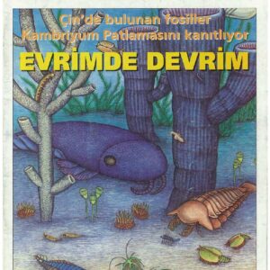 Evrimde Devrim (E-Dergi/PDF)