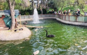 kugulu-park-ankara-nin-acik-hava-hayvan-hapishanesi